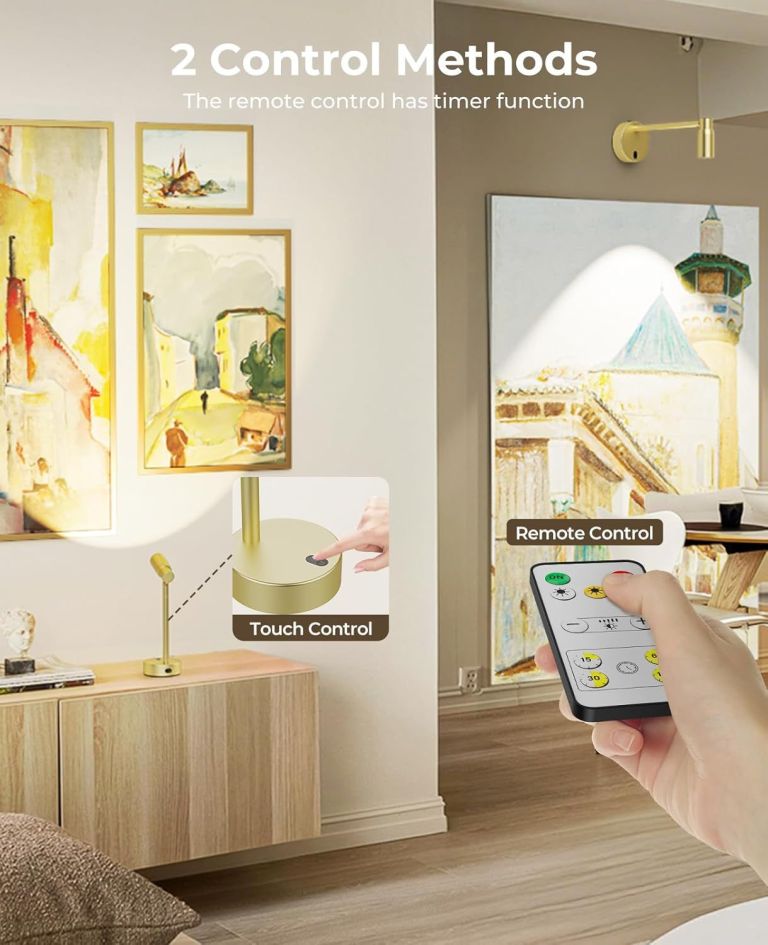 Wall picture light with remote and touch control