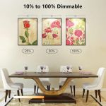 Dimmable picture lights above floral wall art