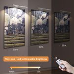 Dimmable picture light with remote control brightness levels