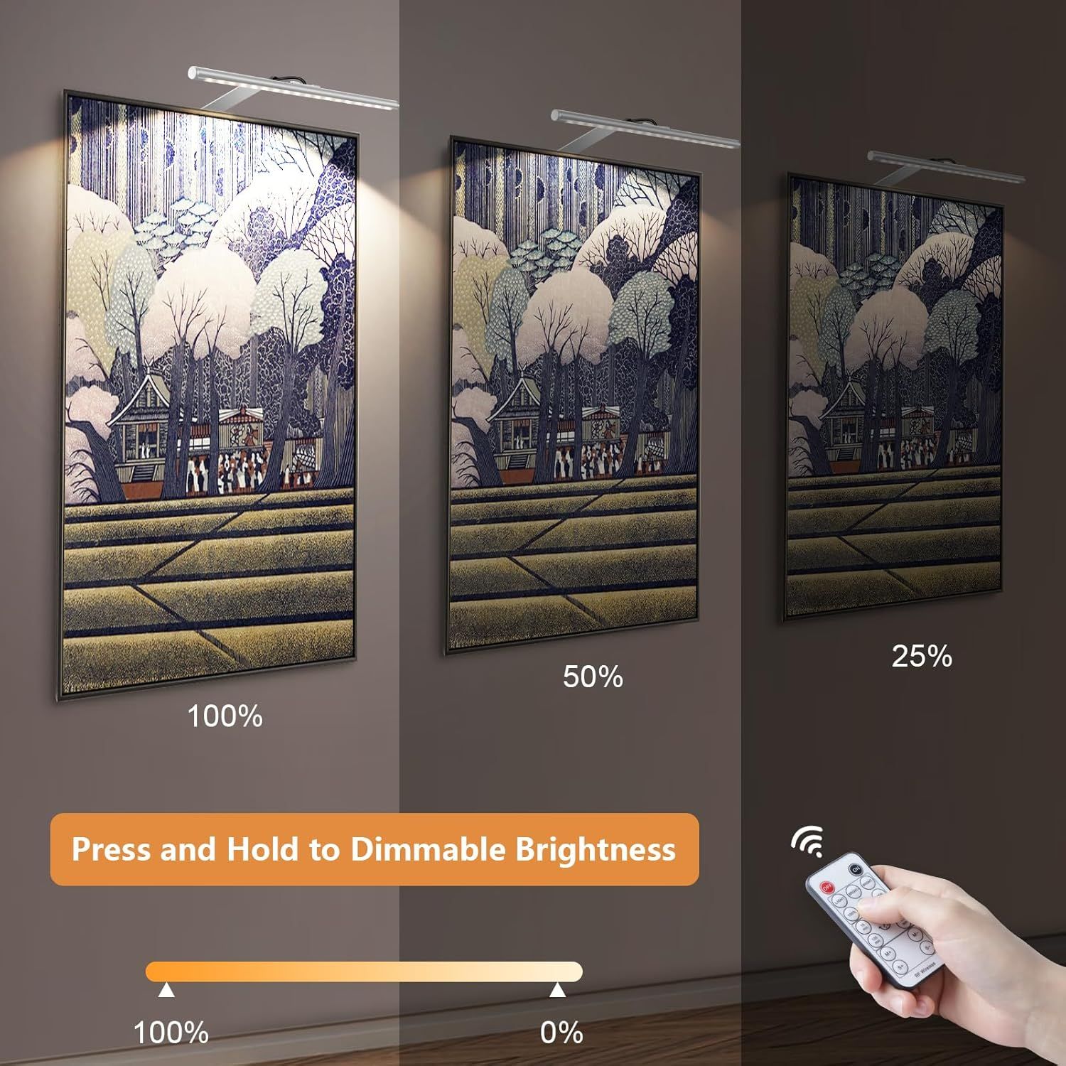 Dimmable picture light with remote control brightness levels