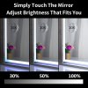 LED mirror with adjustable brightness and 10x magnification