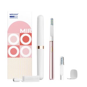 Portable electric toothbrush with case and accessories
