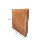 himalayan pink salt cooking block 21 x 21 x 3cm square slab tile Himalayan salt tile 21cm by 21cm