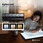 Adjustable light pad brightness levels for drawing