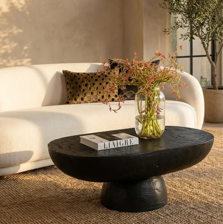 Modern living room with sofa and black coffee table