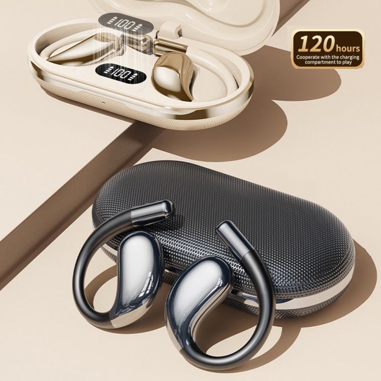 Wireless ear hook earbuds with charging case
