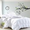 Modern bedroom with bird wall decal and clock