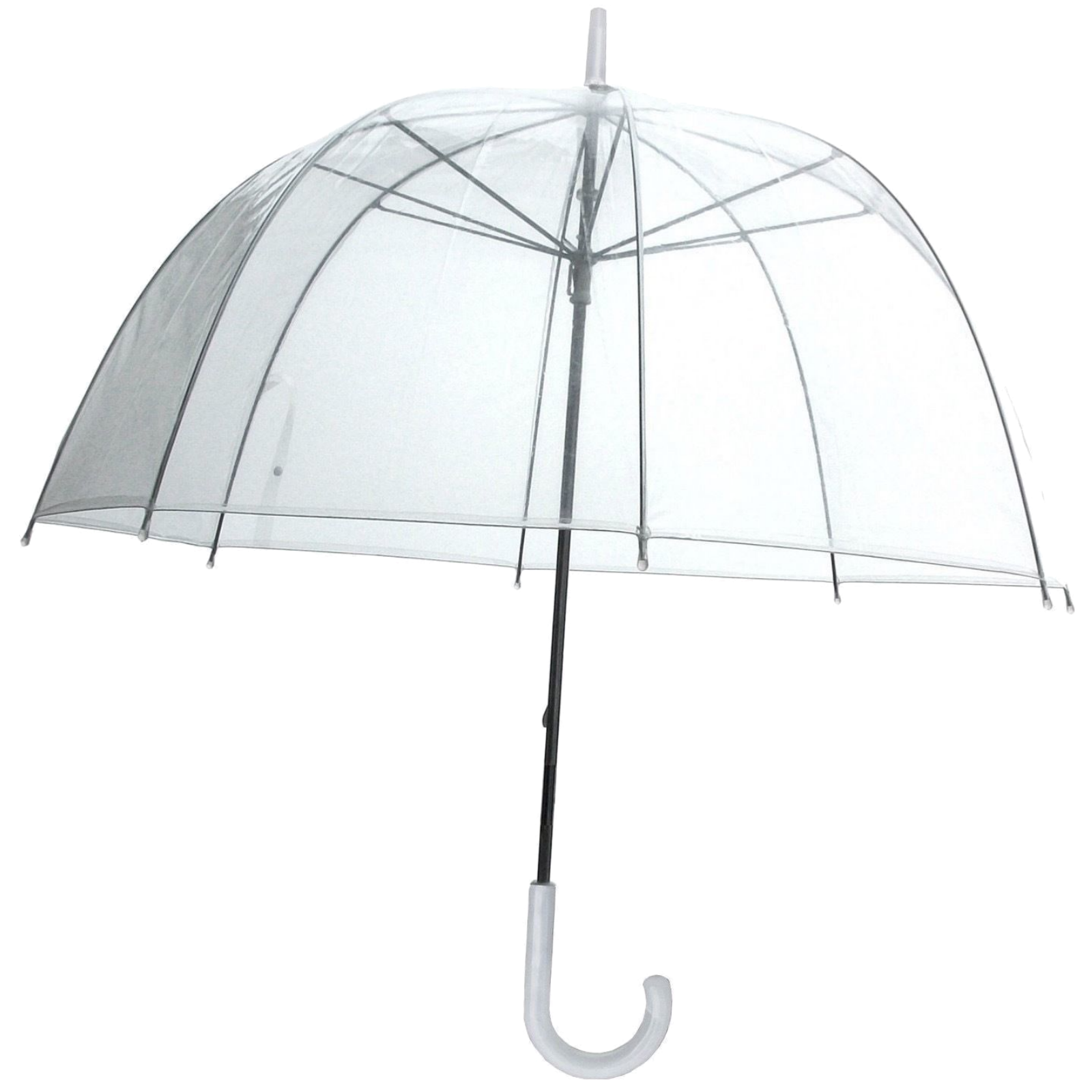 v563 birdcageumb clear 202503051515 00.png Transparent dome umbrella with curved white handle
