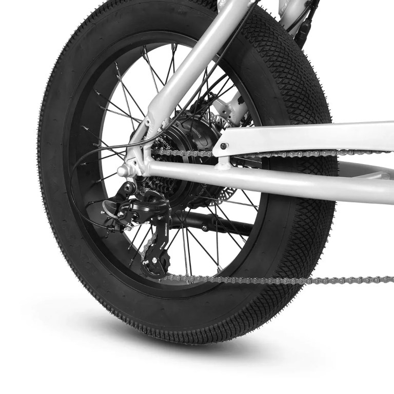 Close-up of fat tyre e-bike rear wheel