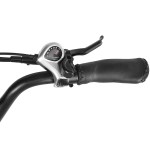 Close-up of bicycle handlebar with 7-speed shifter