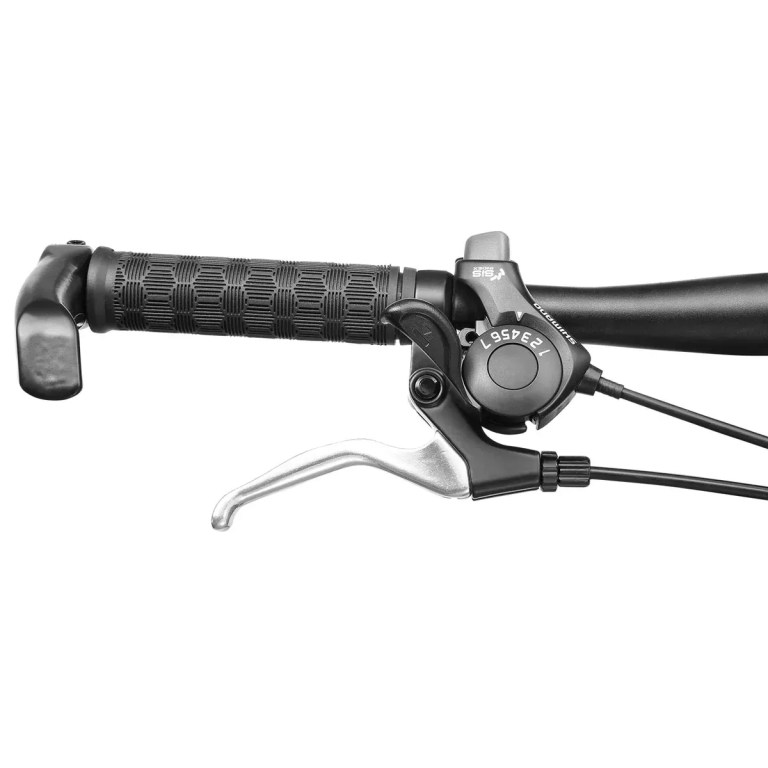 Bicycle handlebar with brake lever and gear shifter