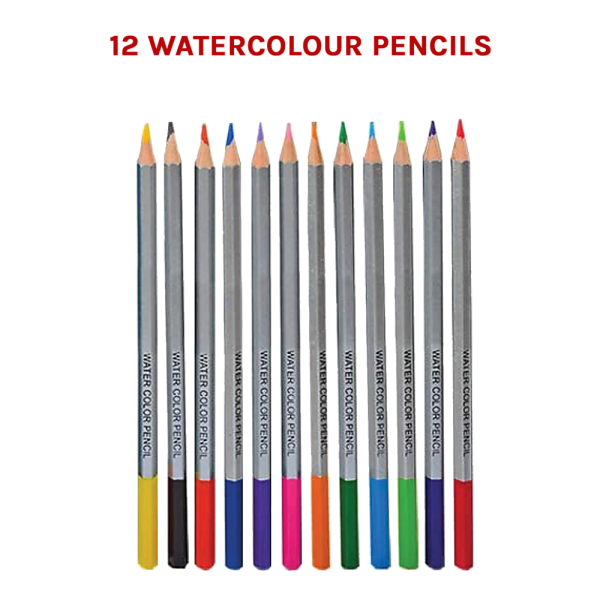 art sketch pencils oil drawing colouring graphite charcoal pencil set 72pcs/set Twelve watercolour pencils on black background