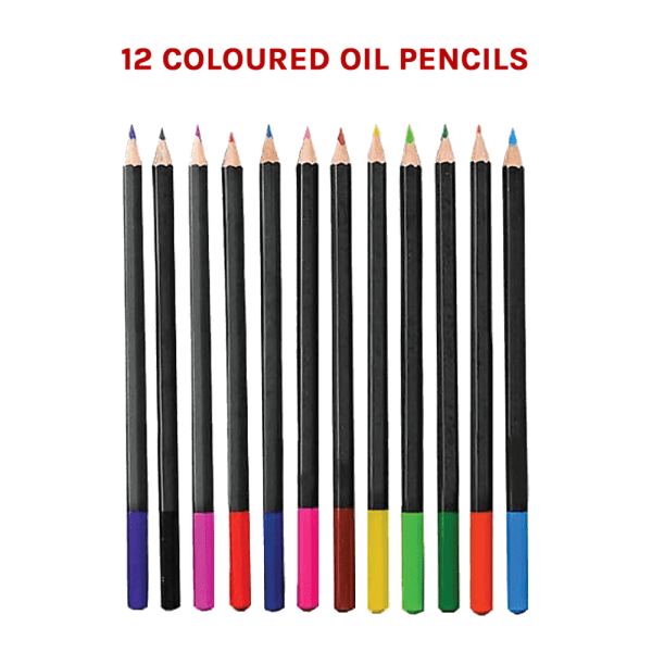 art sketch pencils oil drawing colouring graphite charcoal pencil set 72pcs/set Set of 12 coloured oil pencils