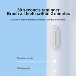 Electric toothbrush with timer and dual modes