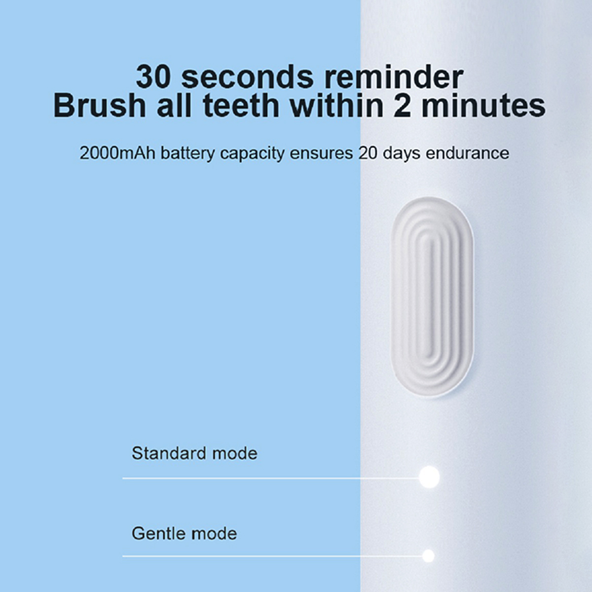 Electric toothbrush with timer and dual modes