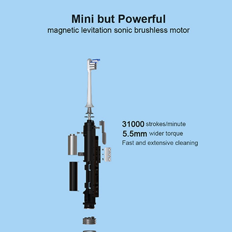 Exploded view of sonic electric toothbrush motor