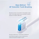Diagram of Bass method 45-degree toothbrush bristles