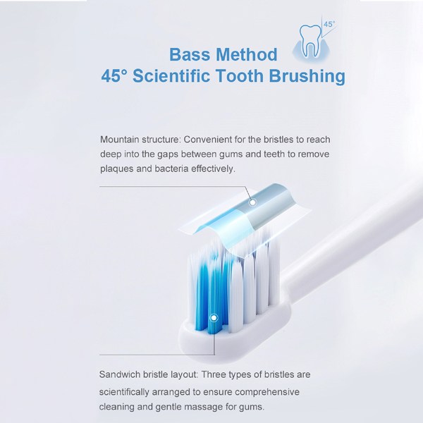 Diagram of Bass method 45-degree toothbrush bristles