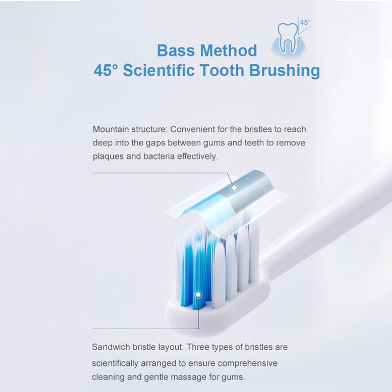 Diagram of Bass method 45-degree toothbrush bristles