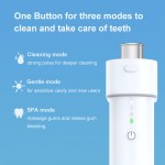 Electric toothbrush with three cleaning modes