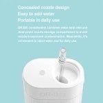 Portable water flosser with concealed nozzle design