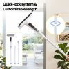 Adjustable window squeegee with quick-lock extension pole