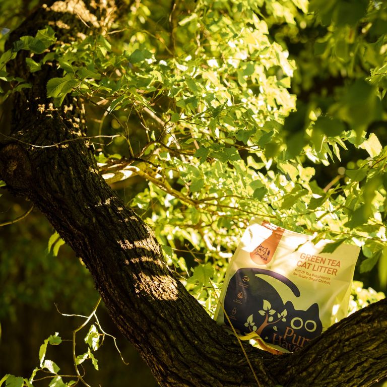 Green tea cat litter bag in tree