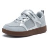 sliver-gray