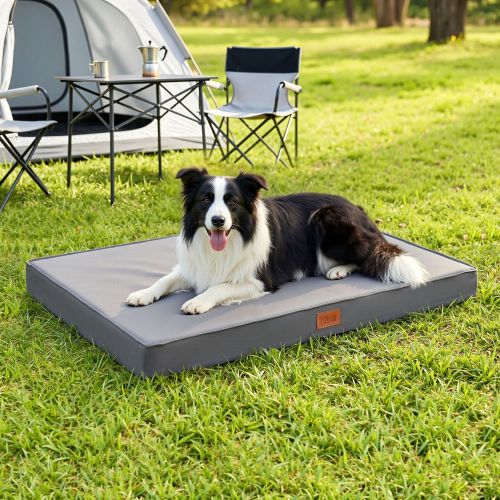 dbed pad l gy 00.jpg Border Collie on raised dog bed at campsite