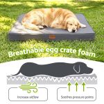 Golden retriever sleeping on breathable foam dog bed