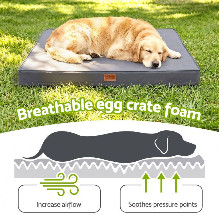 Golden retriever sleeping on breathable foam dog bed