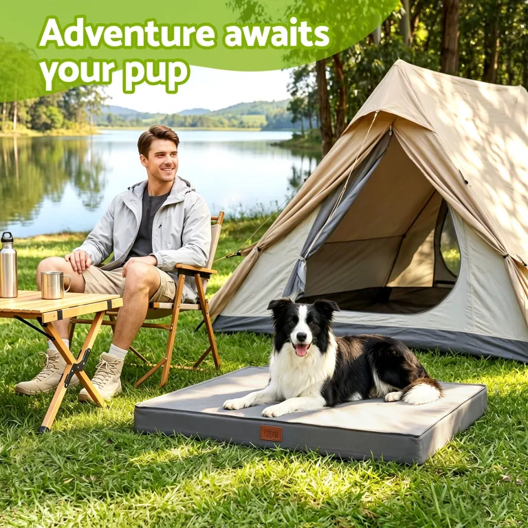 Man camping lakeside with dog outside tent