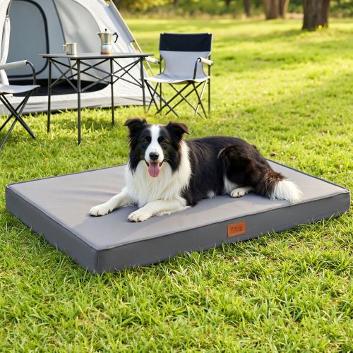 dbed pad xl gy 00.jpg Border Collie resting on raised dog bed campsite