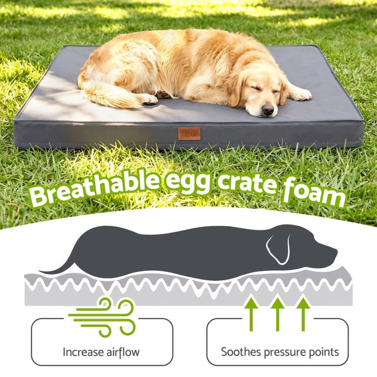i.pet dog bed xl water resistant egg crate foam orthopedic pet mat grey Golden retriever resting on breathable foam dog bed