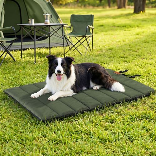 dbed roll gn 00.jpg Border Collie relaxing on mat at campsite