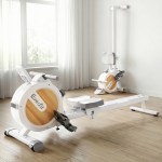 Modern home gym with rowing machine and exercise bike