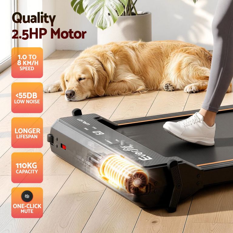 Quiet treadmill beside sleeping golden retriever indoors