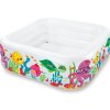 v1032 ixseaaquarium 57471 202508201005 00.jpg Colourful inflatable kids pool with sea creatures