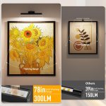 Comparison of wall-mounted picture lights illuminating framed artwork