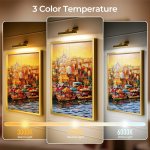 picture lights for wall, battery operated picture light 16in gallery light for paintings cct dimmable gold Painting under three colour temperature lighting options