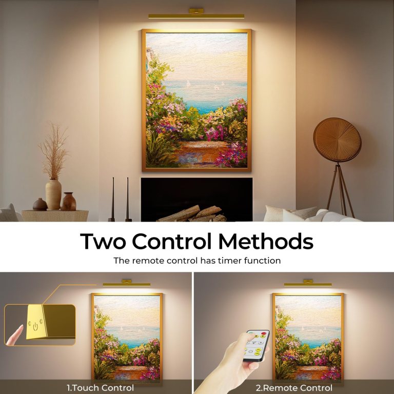 Framed painting with light and remote control options