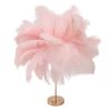 Pink feather table lamp with gold base