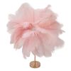 Pink feather lamp on gold stand