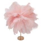 Pink feather lamp on gold stand