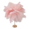 Pink feather decorative lamp on gold stand