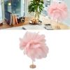 Pink feather table lamp on stylish desk