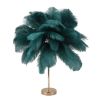 Teal feather lamp with gold stand