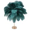 Teal feather table lamp with gold base