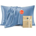 v1317 sd90 aust hl 00.jpg Light blue satin pillowcases two pack gift set