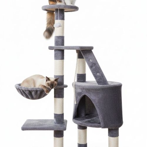 Two cats on grey multi-level cat tree